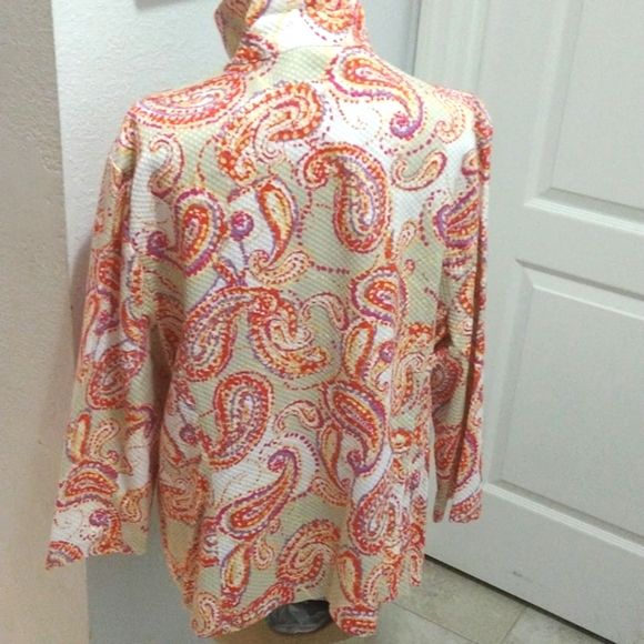 Linear Colorful Paisley Print Jacket - Picture 4 of 8